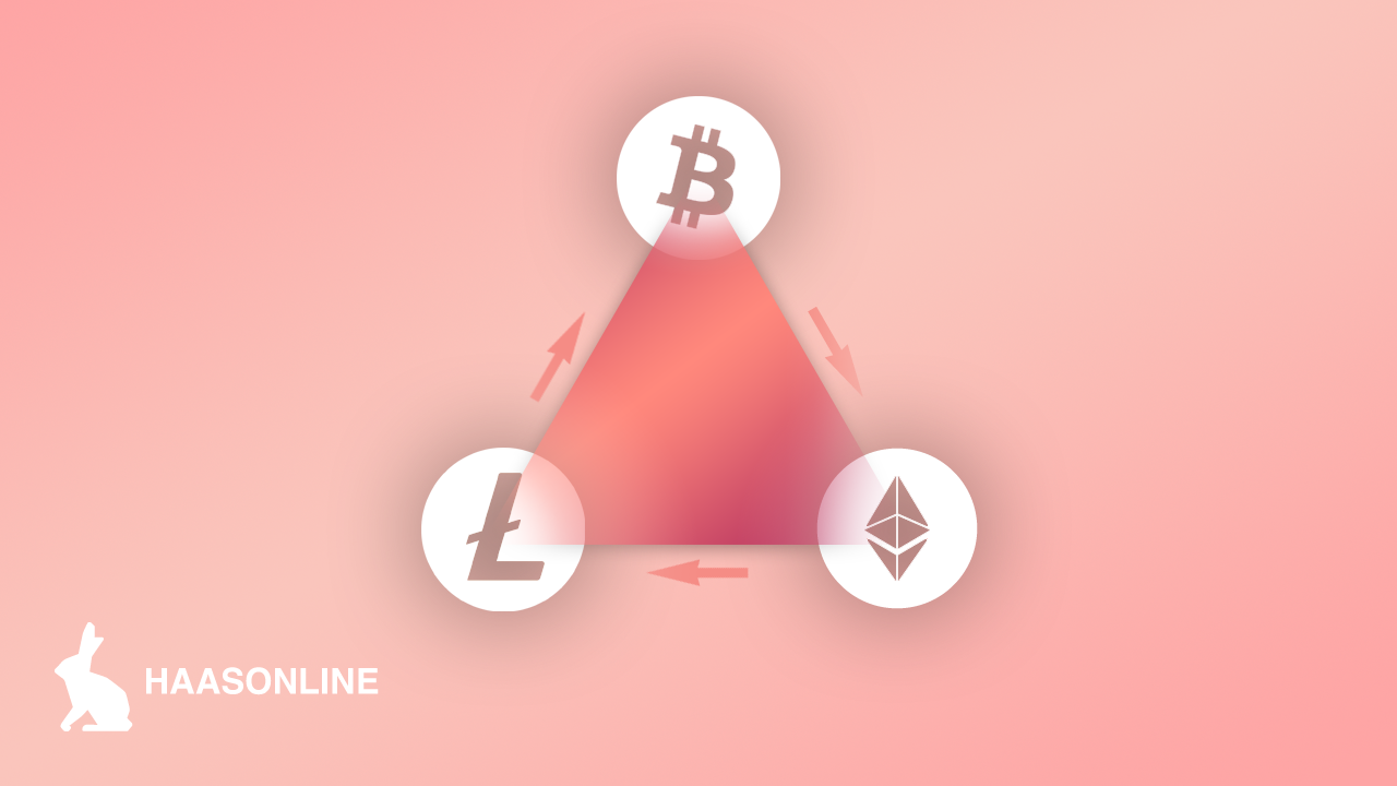 How to set up your crypto arbitrage bot with HaasOnline TradeServer